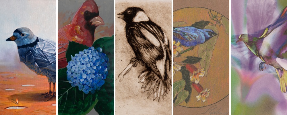 The Art of Attracting Birds: February is National Bird Feeding Month